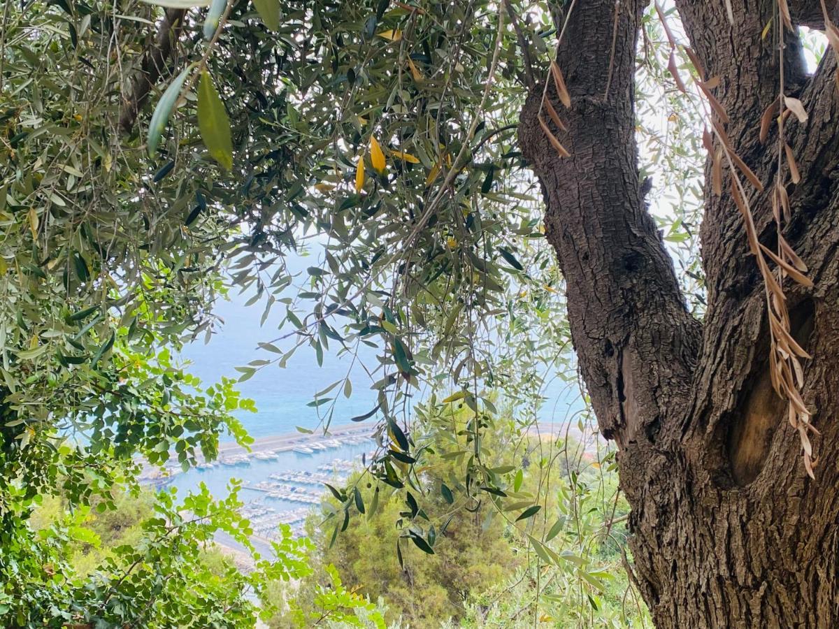 “Da Senso” Relax Nel Verde Vista Mare Finale Ligure Extérieur photo